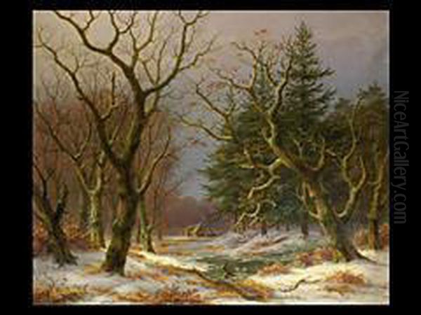 Winter-waldlandschaft Mit Enten - view 1