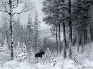 Winter Landscape Winter Landscape