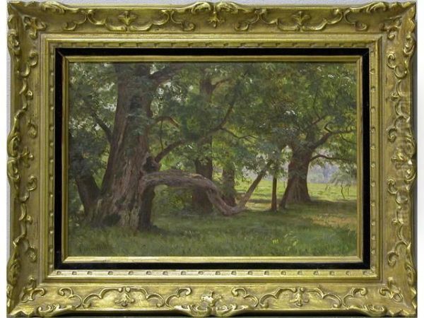 Sous-bois - view 1