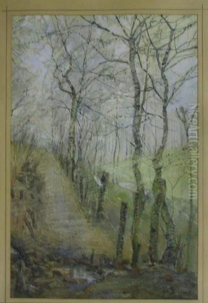 Dreef Met Berkenbomen - view 1