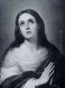The Madonna The Madonna