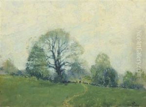 Landscape Landscape