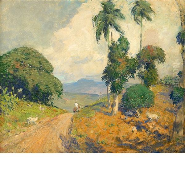 Mountain Road, Puerto Rico - view 1