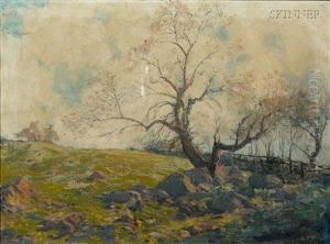 A New England Pasture Old Apple Tree by Hermann Dudley Murphy