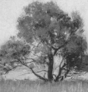 The Old Climbing Tree by Hermann Dudley Murphy