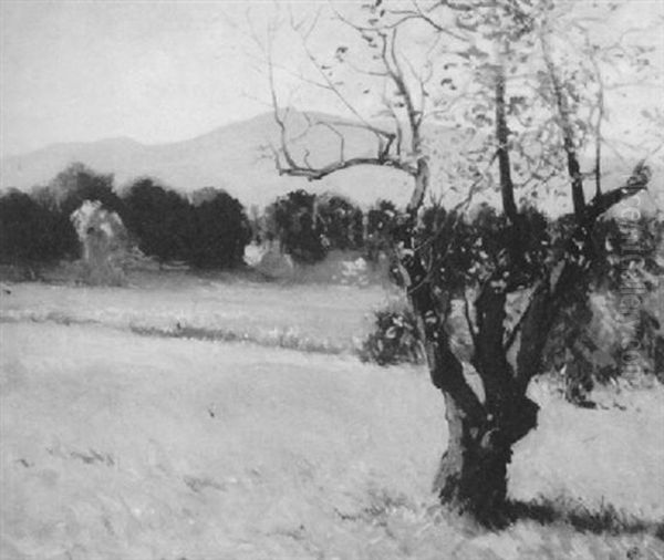 Fields Below Mount Monadnock - view 1