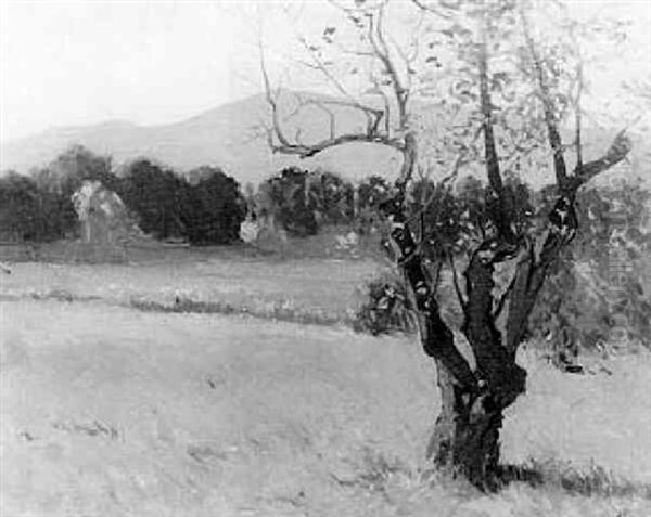 Early Spring Meadow, Every Tree Glistening - view 1