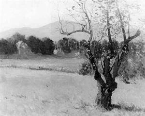 Early Spring Meadow, Every Tree Glistening by Hermann Dudley Murphy