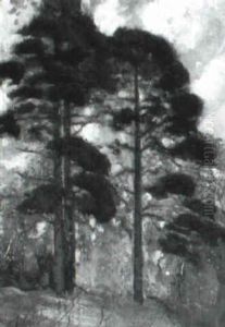 Pine Trees