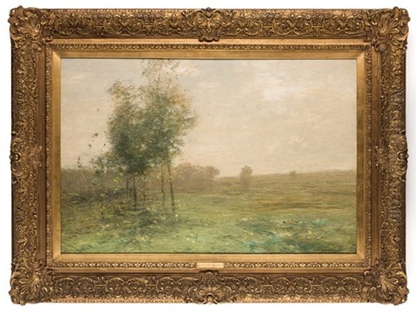 A Summer Afternoon - view 1