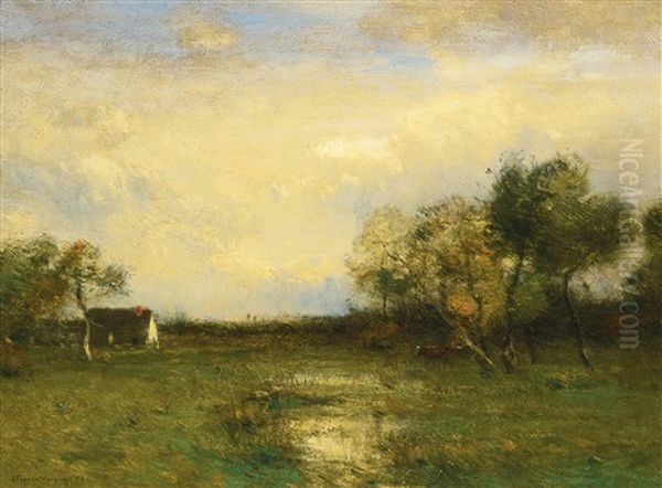On The Low Lands (evening Landscape) - view 1