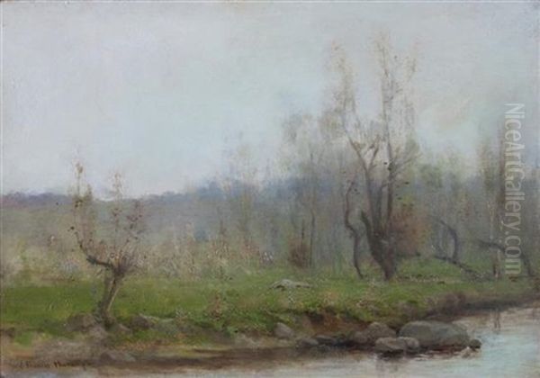Trees By River - view 1