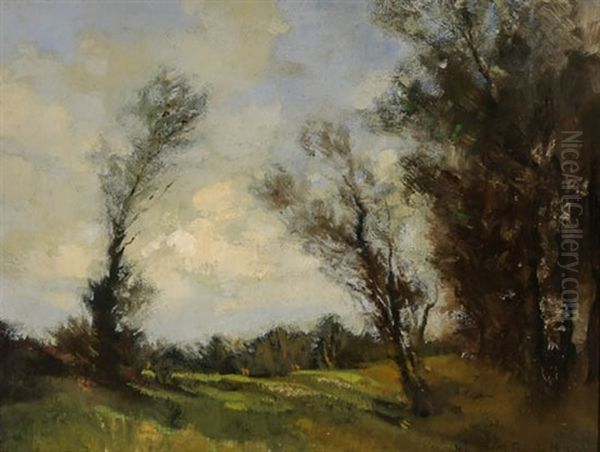 Wind Blown Landscape - view 1