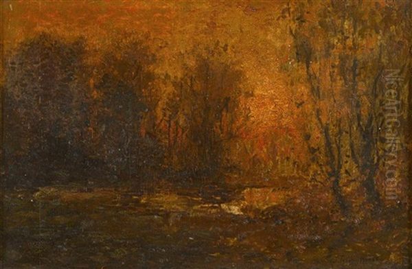 Wooded Sunset - view 1