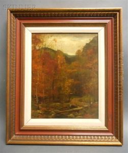 The Woods In Autumn