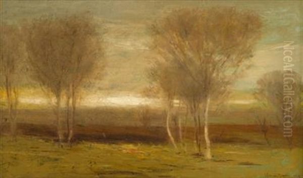 Evening Landscape - view 1