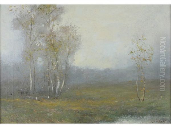 Autumn Mist - view 1