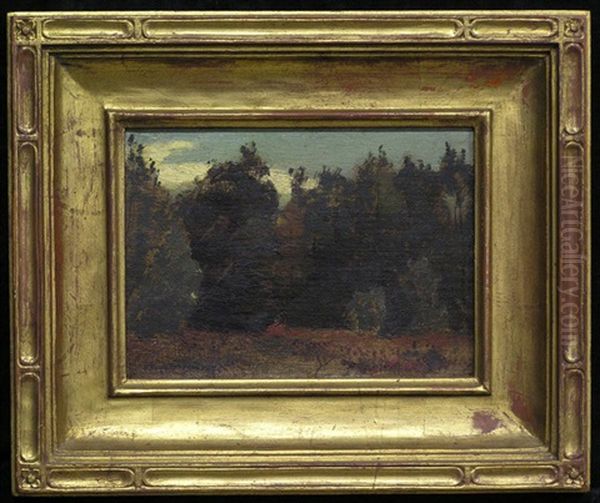 Edge Of Woods - view 1
