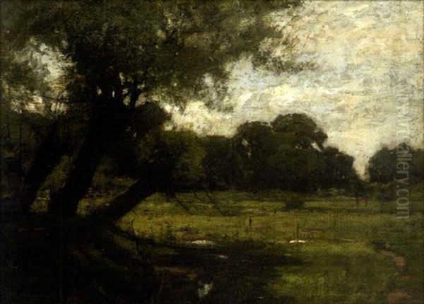 Green Meadows With Willow Tree - view 1