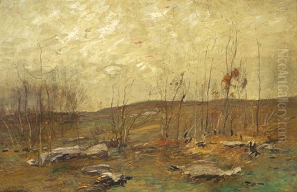 Saplings - view 1