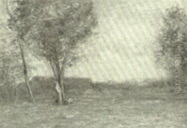 Trees In A Summer Meadow - view 1