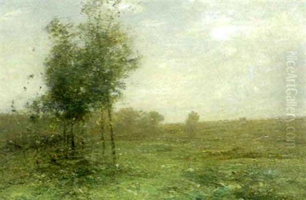 A Summer Afternoon - view 1
