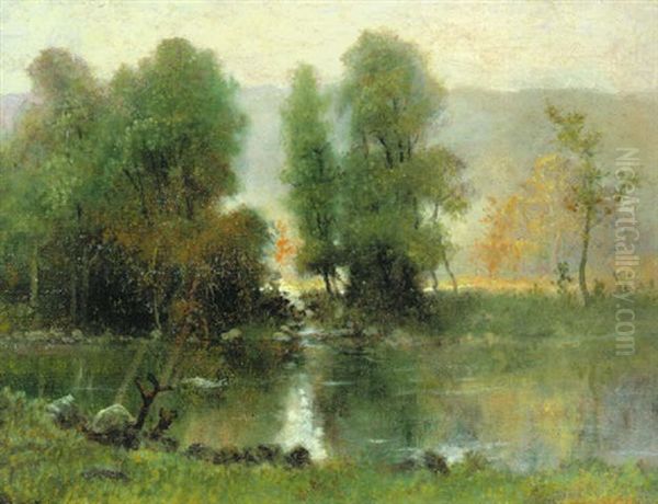 Tranquil Stream - view 1