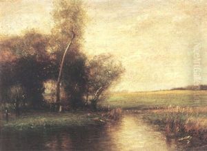 Stream Near A Forest Clearing