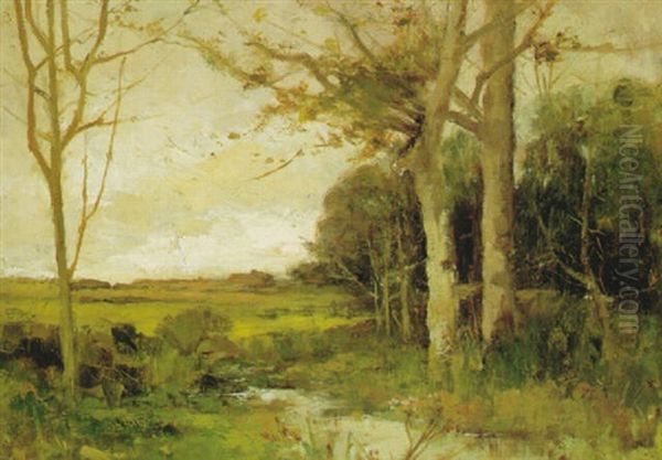 Spring Landscape - view 1