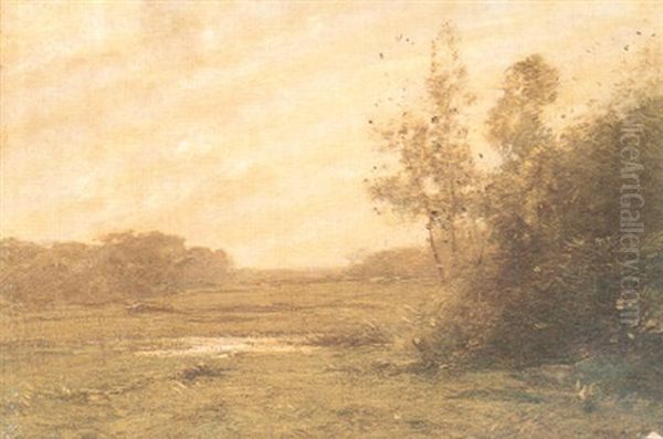 Midsummer - view 1