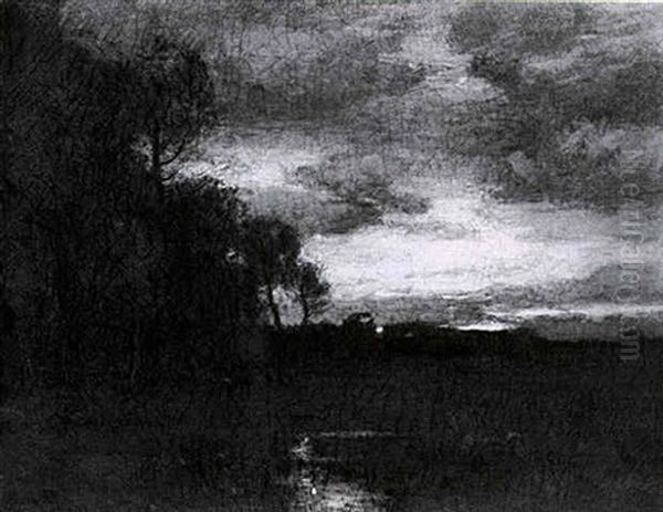 Evening Meadow - view 1