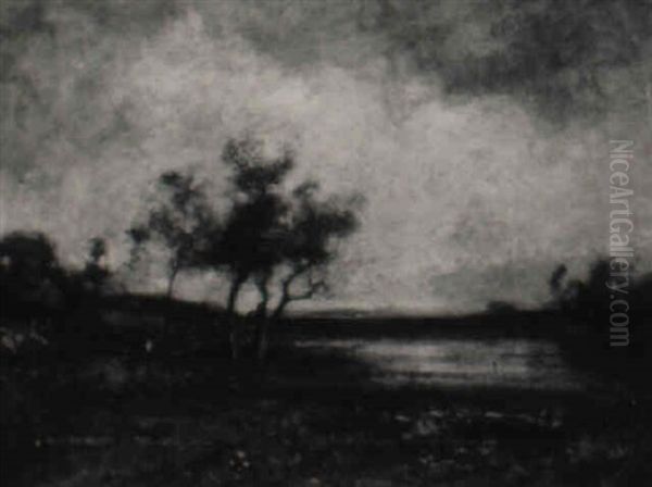 The Water Meadow - view 1