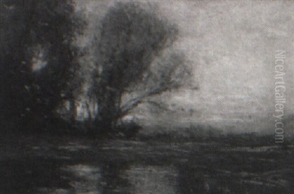 Wetlands At Twilight - view 1