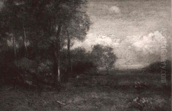 Edge Of The Wood - view 1