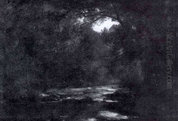 Woodland Brook - view 1