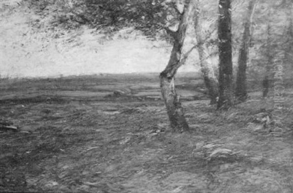 The Brow Of The Knoll - view 1