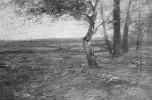 The Brow Of The Knoll by John Francis Murphy