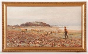 Feeding The Sheep At Dawn by David Murray
