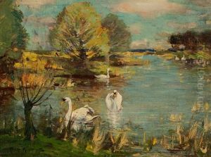 Swans On A Pond by David Murray