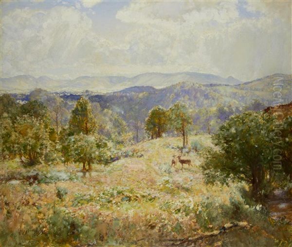 Shadow And Shower, Aberfoyle - view 1