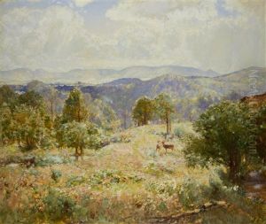 Shadow And Shower, Aberfoyle