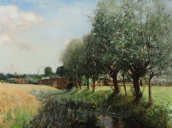 Landscape - view 1