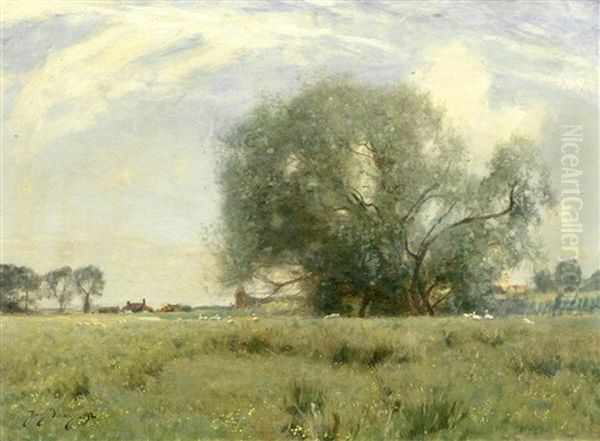 Pastoral - view 1
