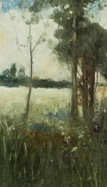 Trees In A Copse - view 1
