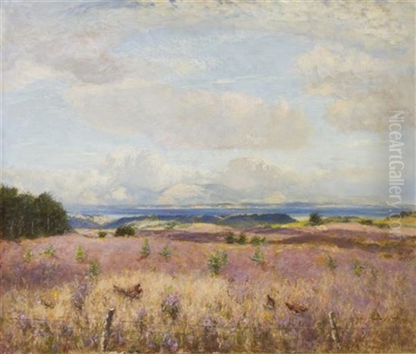 The Bonnie Hielan Heamer - view 1