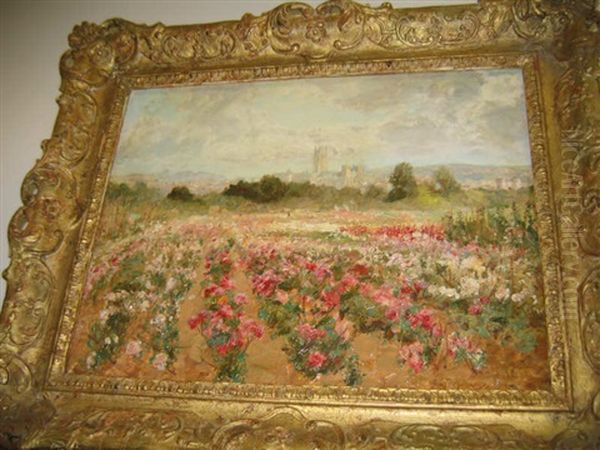 Poppy Field With Distant Castle - view 1
