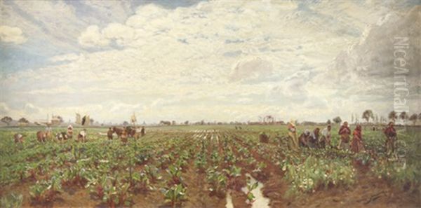 Field Workers, Holland - view 1