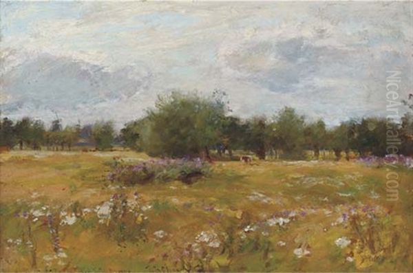 A Summer Meadow - view 1