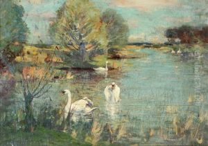 The Swan Lake