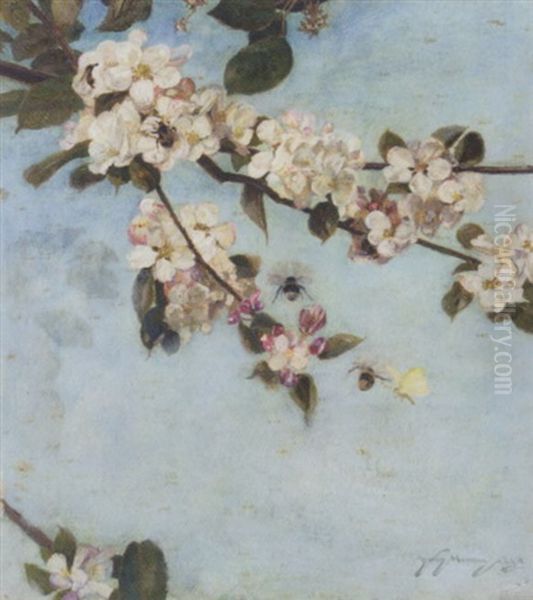 Apple Blossom - view 1